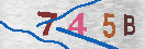 Imagen CAPTCHA
