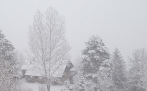 IMG_1204 IMG_1204