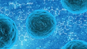 cellular regeneration cellular regeneration