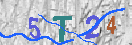 Imagen CAPTCHA